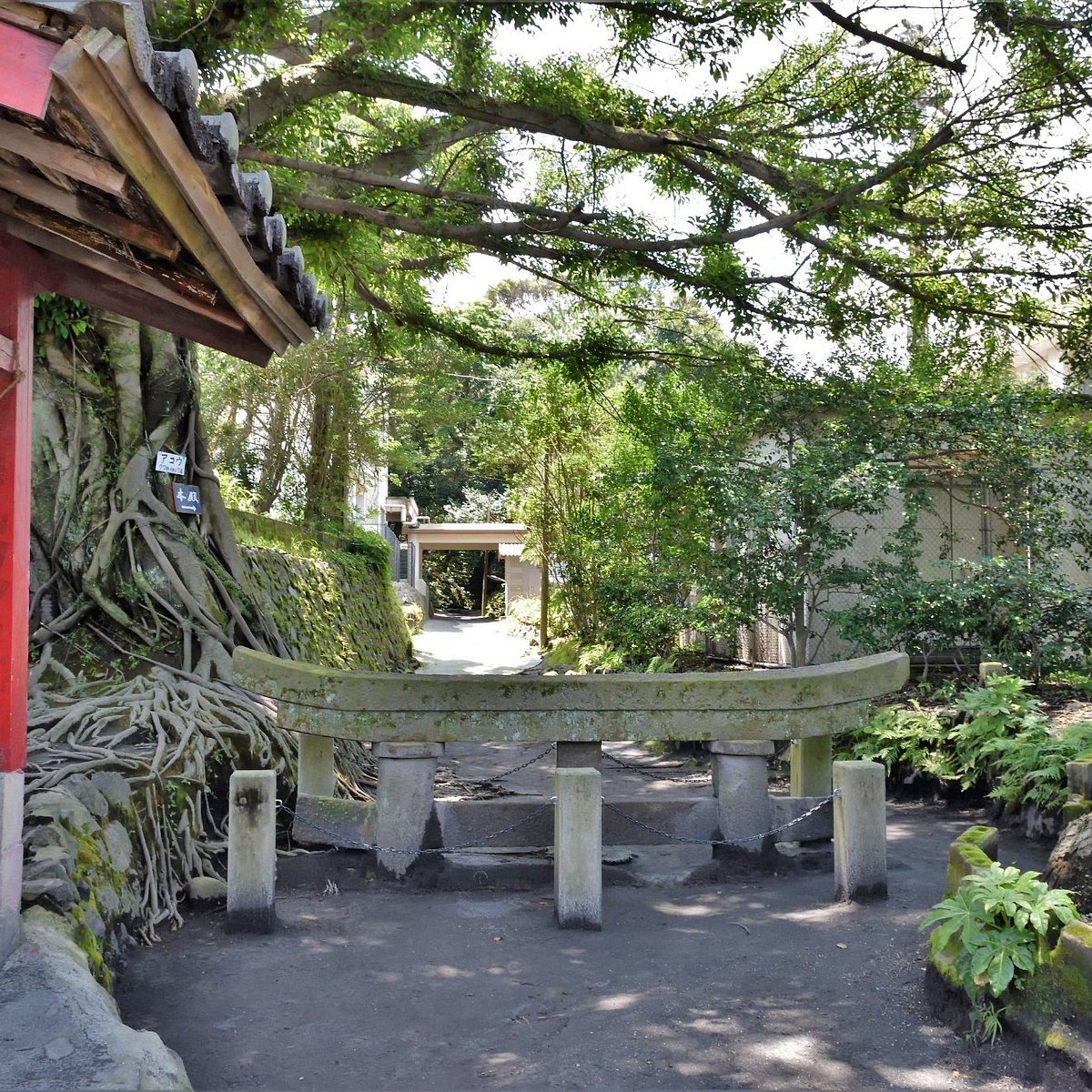 ⛩️ 우시네 산기슭 이나리 신사 매몰 도리이(우시네후모토 이나리진자 마이보츠토리이)